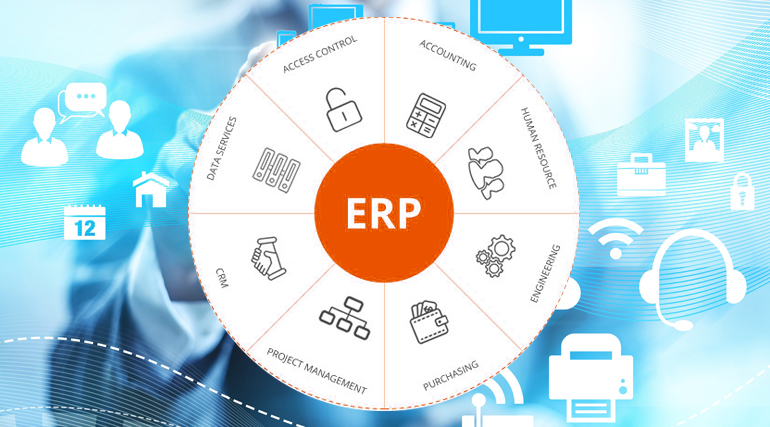 Driving Business Transformation: A Case Study on the Successful Integration of a Custom ERP System